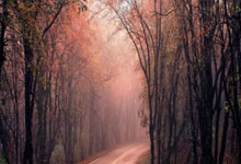 刘维伟老婆突发更新社媒，刘维伟疑似出轨，球迷评论得到点赞.