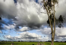 赵心童 英锦赛.