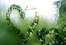 卡塔尔网球赛16强险胜 伊加将与伊莲娜重演去年决赛.