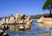 [CBA]广东东阳光大胜四川丰谷酒业.